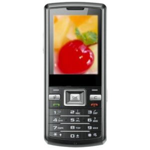 GSM Maroc Téléphones basiques Samsung W299 Duos